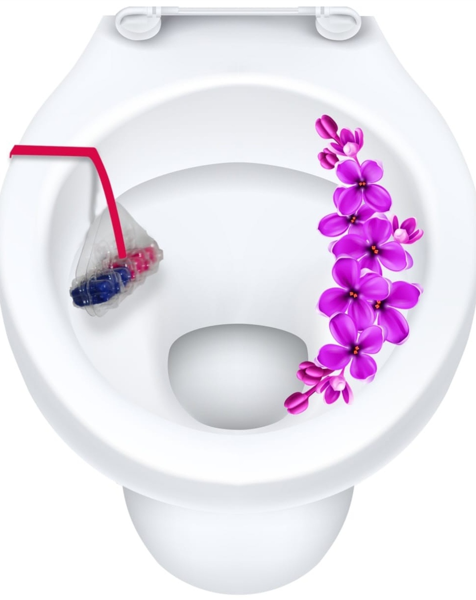 MissFlora WC Blok- 24 adet - Görsel 4